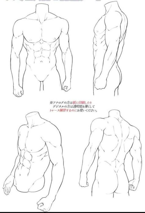 Male Body Drawing Back, Male Back Drawing Reference, Abs Art Reference, Male Back Reference, Male Anatomy Reference Drawing, Male Torso Reference, Male Body Base, Male Anatomy Reference, Anatomy Male