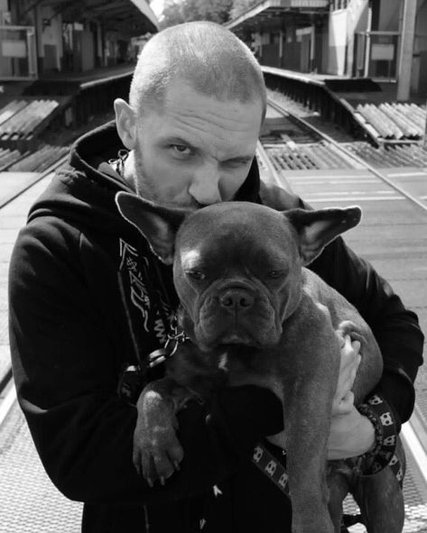 Tom Hardy Daily on Twitter: "NEW | 🐶😇💙  courtesy of the brilliant Greg Williams!   #HappyBirthdayTomHardy… " Tom Hardy Photos, Greg Williams, International Dog Day, National Pet Day, Hardy Boys, Thomas Hardy, Cinema Film, Maisie Williams, Funny Animal Memes