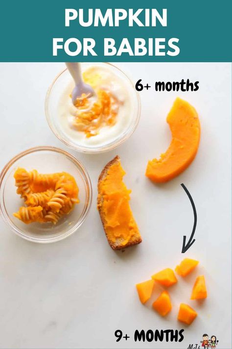 Pumpkin is an amazing first food for babies. Serve to your baby with ease and confidence by using these tips and recipes. Pumpkin Puree Baby Food, Baby Pumpkin Recipes, Pumpkin Recipes For Baby, Pumpkin Baby Food Recipes, Pumpkin Baby Food, Baby Weaning Foods, Sweet Pumpkin Recipes, Cook Pumpkin, Baby Food 8 Months