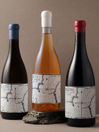 A map where the treasure is the vines.
ETNOM written backwards reads MONTE, the name of the village where the winemaker was born
Katia Orange. In that same place, his family, the 'Laranjos', have been making wine for several centuries.
We used an old map of the islands of Pico and Faial as a sketch to design this label which presents itself as a kind of treasure map where in this case, the cross points
to the coordinates of the vineyards, where the ETNOM wine was produced. Making Wine, Wine Map, Treasure Map, Wine Design, Treasure Maps, Illustrated Map, Old Map, Wine Making, Wine Label