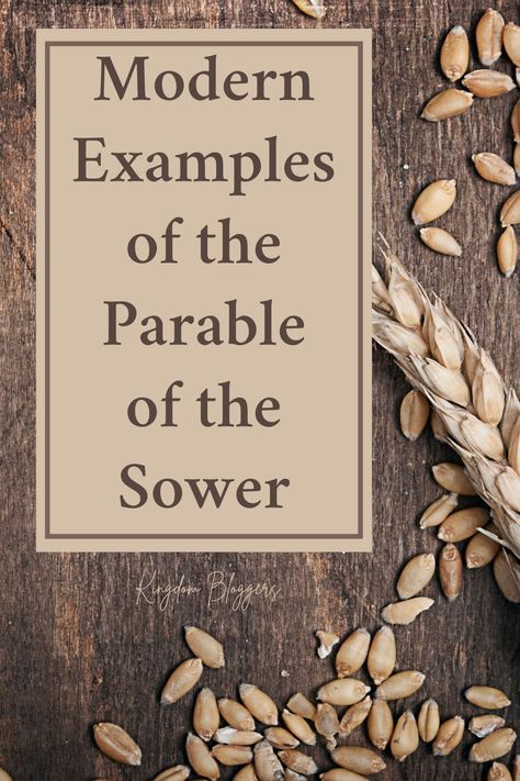 The Parable of the Sower is a story most Christians are familiar with. But how do we apply these parables to our lives now? Parable Of The Sower Art, Middle School Sunday School Lessons, Parable Of The Sower Craft, The Sower And The Seed, Parable Of The Sower For Kids, Sower Parable, Parable Of The Seeds, Middle School Crafts, Soil Activities