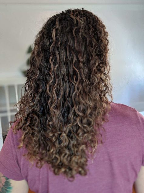 Brunette Perm, Brown Curly Hair With Highlights, Curly Brunette Hair, Curly Brunette, Carmel Highlights, Medium Brown Hair Color, Blonde Ends, Highlights Curly, Permed Hair