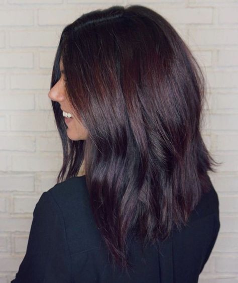 Plum Purple Brown Hair, Winter Dark Hair Color Brunettes, Dark Hair With Plum Highlights, Dark Mohagany Brown Hair, Plum Brunette Hair, Dark Brown Hair With Purple Tint, Chocolate Burgundy Hair, Dark Burgundy Balayage, Dark Brown Burgundy Hair