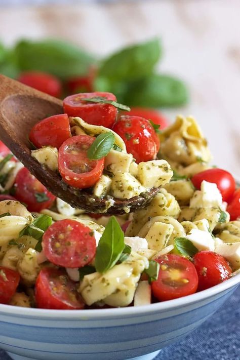 Caprese Tortellini Pasta Salad - The Suburban Soapbox Caprese Tortellini Salad, Tortellini Salad Recipes, Caprese Tortellini, Cheese Tortellini Salad, Pasta Salad With Tomatoes, Tortellini Pasta Salad Recipes, Tortellini Pasta Salad, Salad With Tomatoes, Pesto Tortellini