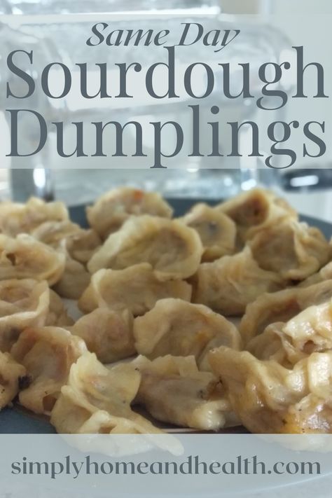 Sourdough Dumpling Wrapper, Sourdough Potstickers, Sourdough Discard Hushpuppies, Sour Dough Dumplings, Sourdough Discard Dumplings Recipe, Sourdough Turnovers, Sourdough Dumplings Recipe, Sourdough Discard Dumplings, Potsticker Dough Recipe