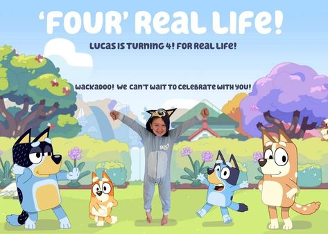 Four Real Life Bluey, 4 Real Life Bluey Party, Four Real Life Bluey Birthday, Bluey Party, Bluey Birthday, Fourth Birthday, Cat Birthday, 4th Birthday Parties, Baby Birthday