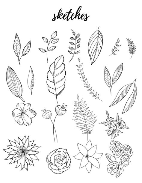 Out Line Drawing, Flower Doodle, Botanical Line Drawing, Botanical Elements, Floral Doodle, Pencil Drawings Easy, Leaf Drawing, Floral Drawing, Pola Sulam