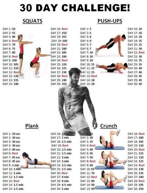 Workouts Programs, Pinterest Workout, Full Body Workout Plan, Home Workout Men, Best Workouts, Beginner Workouts, Gym Antrenmanları, Gym Workout Chart, Fitness Programs