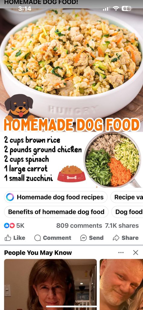 Homemade Dog Food Puppy, Dog Food Seasoning, Picky Dog Food Recipes, Homemade Salmon Dog Food Recipes, Salmon Dog Food Recipes, Diy Farmers Dog Food, Crockpot Dog Food Recipes Vet Approved, Homemade Dog Food Recipes Vet Approved, Homemade Dog Food Vet Approved