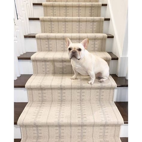 Patterson Flynn Martin on Instagram: “A stair so chic, no one can resist it - not even fur friends! Interior design by @lindseydavisdesigns featuring our Transit Stripe…” Stripe Stair Runner, Stairway Makeover, Entry Coat Rack, Slippery Stairs, Striped Stair Runner, Stair Runner Installation, Foyer Ideas Entryway, Stanton Carpet, Treads And Risers