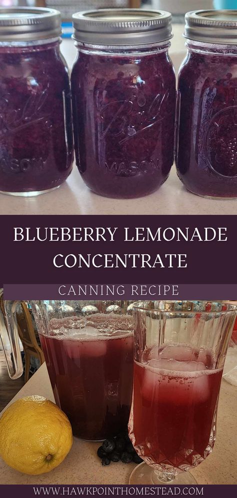 This blueberry lemonade concentrate canning recipe is such an easy way to have a refreshing drink ready to go at any time. Who doesn’t love blueberries and lemonade! This takes just 3 ingredients, and a little work, you can have this refreshing lemonade with the wonderful taste of blueberries at a moment’s notice. Blackberry Lemonade Concentrate Canning, How To Can Blueberries, Blueberry Lemonade Concentrate Canning, Canning Drink Concentrate, Canning Blueberries Recipes, Juice Concentrate Recipes, Canned Blueberry Recipes, Blueberry Canning Recipes, Canning Beverages