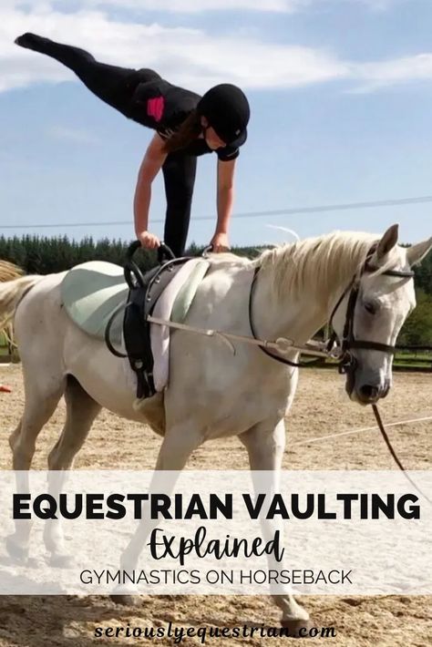 Vaulting Horses, Equestrian Vaulting, Vaulting Equestrian, Horse Vaulting, Horse Riding Tips, Riding Lessons, Horse Grooming, Equestrian Lifestyle, On Horseback