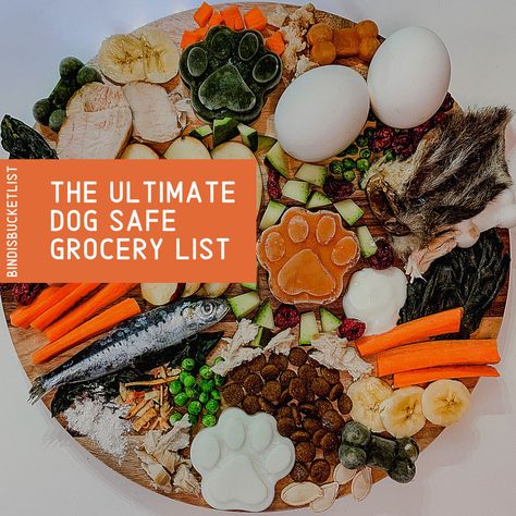 The Ultimate Dog Safe Grocery List (Featuring Over 25 Ingredients that You Can Use at Home) Pumpkin Puree Recipes, Animal Treats, Carrots And Green Beans, Make Dog Food, Carrot Greens, Frozen Dog, Baby Puree Recipes, Organic Baby Food, Raw Dog Food Recipes