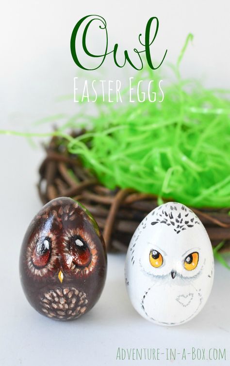 Turn your Easter eggs into a bunch of cute owls and give them as gifts this year! A good Easter craft for children and adults to enjoy together. Animal Easter Eggs, Painting Eggs, Painted Eggs, Decorated Eggs, Easter Egg Designs, Easter Egg Crafts, Easter Egg Painting, Egg Crafts, Easter Art