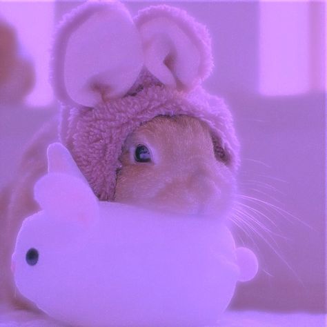 Purple Bunny, Sparkles Background, Cute Bunny Cartoon, Bunny Pictures, Cute Hamsters, Tapeta Pro Iphone, Animals Cute