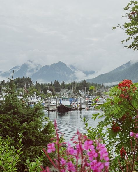 I spent 10 days exploring alaska and the first place I went was to sitka.. 🌊🌲🏔️🐚⚓️ 🌧️ walked around the coast of the sitka sound 🌲 went off-roading to the top of harbor mountain 🫐 foraged wild blueberries 🪵 visited a historic totem park 🌊 explored the surrounding islands with @tongasstroll 🐚 got my favorite new handmade crochet seashell purse made by a local shop-owner’s granddaughter 🤎 stayed warm in my @christydawn wool vest #alaska #christydawnsteward #fallaesthetic Alaska Sitka, Boat Lifestyle, Crochet Seashell, Seashell Purse, Sitka Alaska, Vision 2024, Book Vibes, Alaska Fishing, Christy Dawn