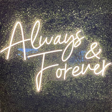 Always & Forever Neon Sign from Westcoast Balloon Supply DETAILS: - Made of clear acrylic and white LED neon tubing - Approximately 36in wide and 24in tall - Intended for indoor use only SHIPPING: - Orders ship next business day - Orders to Canada and USA should arrive in 2-3 business days - Residential delivery available during check out - Tracking number will be available once your order has shipped CONTACT US: If you have any questions about this sign or about CUSTOM OPTIONS AND RUSH ORDERS, please select "Message Westcoast" button. We are happy to help however we can!  Thank you for shopping with us!  Westcoast Balloon Supply Always And Forever Neon Sign, Forever Neon Sign, Wall Decor Outdoor, Twin Flame Art, Romantic Quotes For Her, Flame Art, Always Forever, Dear Future Husband, History Projects