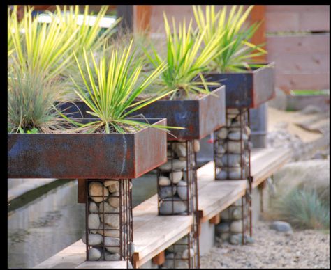 raised planter box holders, river rock in wire mesh Gabion Stone, Gabion Baskets, Contemporary Planters, Gabion Wall, Steel Planters, Modern Garden Design, Metal Planters, Garden Fencing, Modern Landscaping