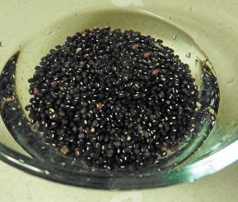 Mamta's Kitchen » Urad Dal Whole Or Mah Ki Dal (Black Gram) Black Gram, How To Boil Rice, Urad Dal, Indian Family, Family Cookbook, Small Spoon, Food Displays, Coriander Leaves, Crushed Garlic