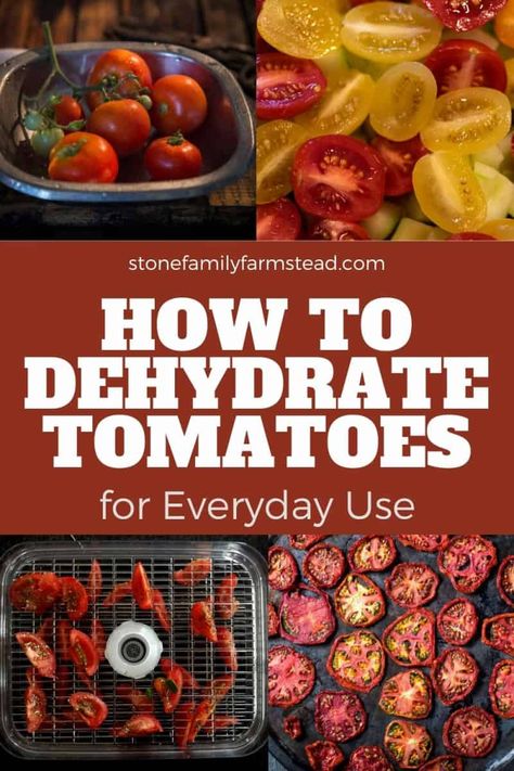 Storing Tomatoes, Dehydrate Tomatoes, Dehydrating Tomatoes, Dehydrated Tomatoes, Homesteading Inspiration, Make Sun Dried Tomatoes, Homesteading Hacks, Dehydrating Food Storage, Root Cellars