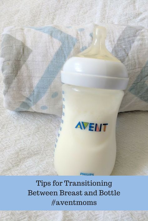 Avent Natural Bottles, Black Haircut, Vocabulary Flash Cards, Baby Routine, Coffee And Books, Flash Cards, Apple Iphone 6, Mustard Bottle, Baby Bottles