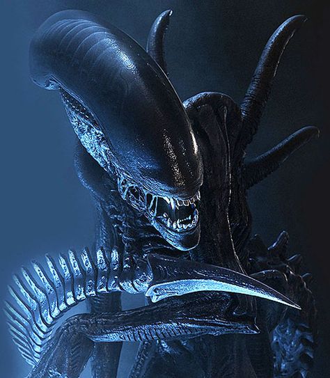 Alien Convenant, Ridley Scott Alien, Giger Alien, Predator Alien Art, Giger Art, Alien 1979, Alien Artwork, Alien Tattoo, Arte Alien