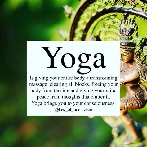 ❤️ this yoga quite Yoga Humor, Yoga Wisdom, Yoga Thoughts, Yoga Themes, Yoga Journey, Yoga Inspiration Quotes, Yoga Video, Yoga Philosophy, Sup Yoga