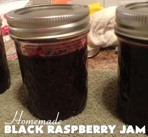 Black Raspberry Jam Recipe, Garden Preservation, Black Raspberry Recipes, Homegrown Recipes, Black Raspberry Jam, Wild Grapes, Homemade Preserves, Making Jam, Raspberry Jam Recipe