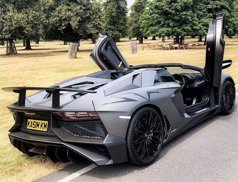 Lamborghini Aventador Sv Roadster, Lamborghini Sv, Allroad Audi, Alpha Romeo, Lamborghini Cars, Audi A5, Italian Cars, Concept Car, Expensive Cars