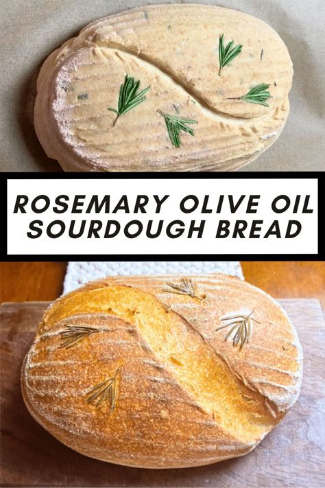 rosemary artisan sourdough bread Rosemary Sourdough Bread, Rosemary Sourdough, Artisan Sourdough Bread, Artisan Sourdough Bread Recipe, Rosemary Olive Oil, Artisan Sourdough, Olive Oil Bread, Rosemary Bread, Fancy Dinner Party