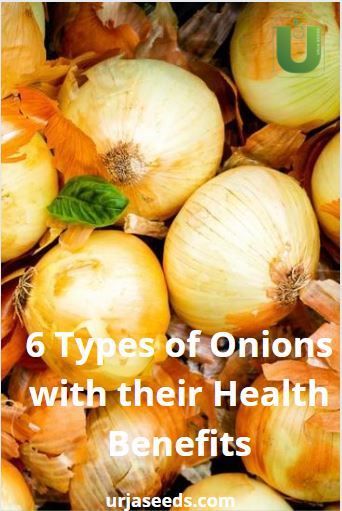 Onion Benefits, Onion Benefits Health, Types Of Onions, Growing Onions, Planting Onions, Cooking Tutorials, Bone Health, Sweet Onion, Yellow Onion