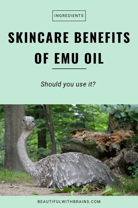 Emu oil is extremely moisturizing. Click this pin to learn more skincare benefits of emu oil and if you should use it. #skincare #skincareingredients #dryskin  how to get your weight loss: shorturl.at/egqBU Emu Oil Benefits, Ear Wax Buildup, Emu Oil, Skincare Benefits, Natural Sleep Remedies, Natural Cold Remedies, Cold Remedies, Skin Skincare, Lose 40 Pounds