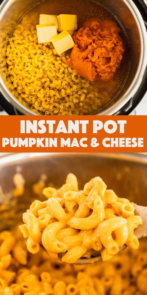 Instant Pot Pumpkin Mac and Cheese - cheesy comforting homemade mac & cheese with pumpkin added. This recipe is loaded with amazing fall flavors! Pressure Cooker Recipes Pasta, Pasta Pumpkin, Instant Pot Pumpkin, Pressure Cooker Pasta, Canned Pumpkin Recipes, Pumpkin Mac And Cheese, Instant Pot Pasta Recipe, Savory Pumpkin Recipes, Weekly Meal Prep