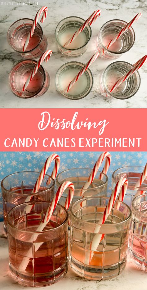 Dissolving candy canes experiment. Christmas candy cane science experiment for kids. Dissolving Candy Cane Experiment, Melting Candy Canes, Candy Cane Science Preschool, Candy Cane Experiment For Kids, Edible Science Experiments For Kids, Candy Cane Science Experiment, Christmas Science Experiments For Kids, Baking Soda Experiments, Candy Cane Experiment