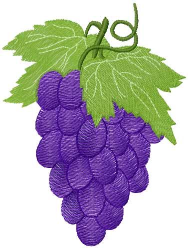 Grape free embroidery design - Fruits and Vegetables embroidery - Machine embroidery community Pola Bordir, Hand Embroidery Videos, Hand Embroidery Kit, Handmade Embroidery Designs, Machine Embroidery Projects, Embroidery Flowers Pattern, Hand Embroidery Design Patterns, Hand Embroidery Art, Sewing Embroidery Designs