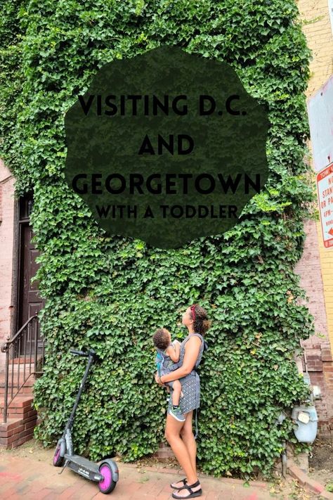 Dc With Kids, Washington Dc With Kids, Georgetown Dc, Visit Dc, Life Blogs, Instagram Inspo, Travel Life, East Coast, Washington Dc