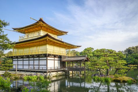 The Garden of Serenity (Japan) - https://wesaidgotravel.com/photo_award/the-garden-of-serenity-japan/ Shinjuku Gyoen, Wakayama, Photo Awards, Kamakura, Autumn Landscape, Travel Deals, Australia Travel, Fall Foliage, Stunning View