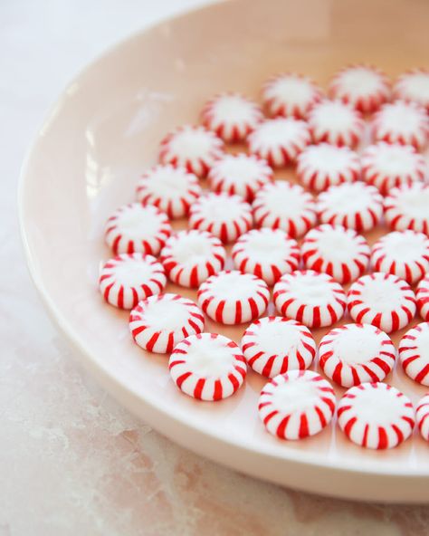 Peppermint Candy Cane Whipped Cream Garnishing Ideas, Broken Vows, Peppermint Whipped Cream, Types Of Candy, Christmas Stories, Peppermint Candy Cane, Pink Food Coloring, All Candy, Chocolate Bundt Cake