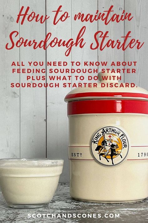 Maintain Sourdough Starter, Feed Sourdough Starter, Best Sourdough Starter Recipe, Dough Starter Recipe, Starter Ideas, Sourdough Starter Discard, Recipe Using Sourdough Starter, Sourdough Bread Starter, Sourdough Starter Discard Recipe