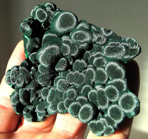 Natural velvet malachite Velvet Malachite, Pinterest Christmas, Black Pinterest, Rocks And Fossils, Best Watches, Rock Minerals, Pretty Rocks, Best Watches For Men, Beautiful Rocks