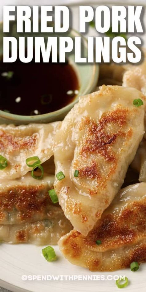 Dumplings Recipe Fried, Pan Fried Pork Dumplings Recipe, Chinese Fried Dumplings Recipe, Pan Fry Dumplings, Chinese Dumplings Recipe Homemade Easy, How To Make Fried Dumplings, Pork Pot Stickers Recipe, Making Dumplings Easy Recipes, Pan Fried Dumplings Recipe