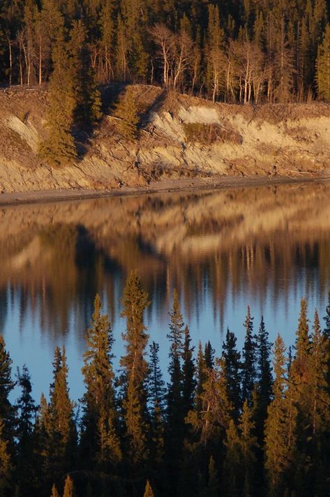 River Reflection, Yukon River, Plant Decor, Landscape Photography, Natural Landmarks, Plants, Photography, Travel, Nature