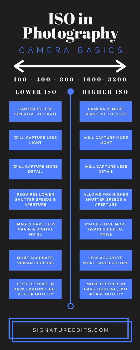 Camera fundamentals: ISO for photographers. This easy to follow guide explains ISO and what different ISO settings do for your photography. Read now! https://www.signatureedits.com/what-is-iso/ Iso In Photography, Iso Explained, Sunset Camera Settings, Camera Lenses Explained, Sheet Photography, Iso Photography, Exposure Triangle, Photography Fundamentals, What Is Iso