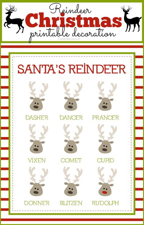 Santa's Reindeer Specimen Art Printable Decoration, great Christmas decor, gift tag, or gift! Christmas Elf Names, Magic Food, Reindeer Names, Santa's Reindeer, Santa Claus Reindeer, Wine Bottle Diy Crafts, Fun Christmas Decorations, Bag Topper, Christmas Projects Diy