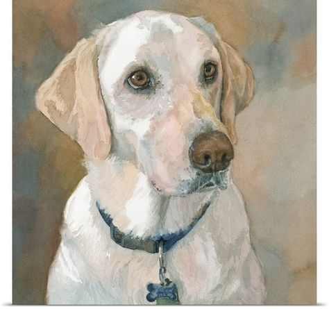 Painting-Kaley Yellow Lab Yellow Lab Watercolor, Yellow Lab Art, Dog Watercolor Painting, Dog Portraits Painting, Watercolor Dog Portrait, Labs Art, Dog Portraits Art, Watercolor Dog, Dog Drawing