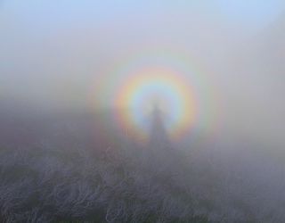 This optical phenomenon looks like a mix of a saint's halo and a rainbow. Glory Aesthetic, Optical Phenomena, European Explorers, Atmospheric Phenomenon, Dale Jr, Looking Out The Window, Light Wave, Tree Hugger, Water Droplets