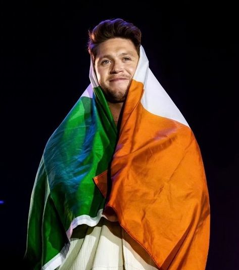 Niall Horan Baby, Hello Lover, Irish Princess, One Direction Photos, Irish Boys, James Horan, 1d And 5sos, I Love One Direction, Irish Men