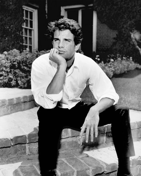 Young Warren Beatty, Warren Beatty, Model Aesthetic, Basic Fits, The New Yorker, Back In Time, New Yorker, Old Hollywood, Male Model