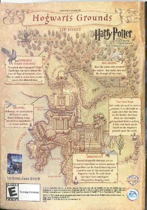 hogwarts grounds map - Google Search Hogwarts Grounds Map, Map Of Hogwarts Grounds, Video Game Map, Hogwarts Grounds, Old Harry Potter, Shifting Hogwarts, Poster Harry Potter, Harry Potter Journal, Imprimibles Harry Potter