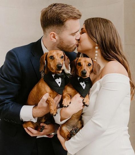 Dachshund Wedding, Marriage Photoshoot, Wedding Dogs, Hounds Of Love, Wedding Wishlist, Couple Inspo, Prom Photoshoot, Photos With Dog, Dog Photoshoot